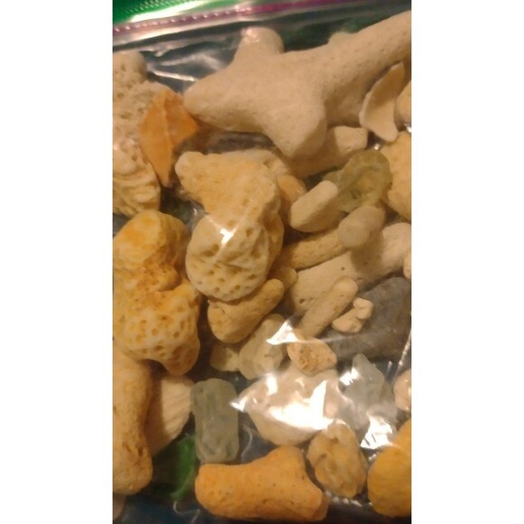 Corals and Beach Gems - Picture 1 of 7